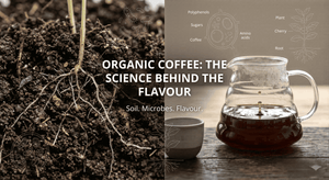does organic coffee taste better