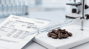 Mould Free Coffee UK: The Complete Buyer's Guide