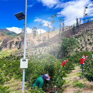Three people working in a hilly landscape with solar panels and trees.