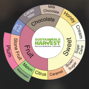 A circular coffee flavor wheel graphic with the Sustainable Harvest Relationship Coffee logo in the center. Segments around the wheel include Chocolate, Sweet, Fruit, Plum, Stone Fruit, Melon, Watermelon, Citrus, Caramel, Brown Sugar, Sugar Cane, Honey, Cream, Milk Chocolate, Cacao Nibs, and Dry Fruit, each in different pastel and muted colors on a dark background.