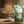 Coffee package with a deer design on a wooden table with a blurred kitchen background