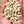 Sample coffee roasting