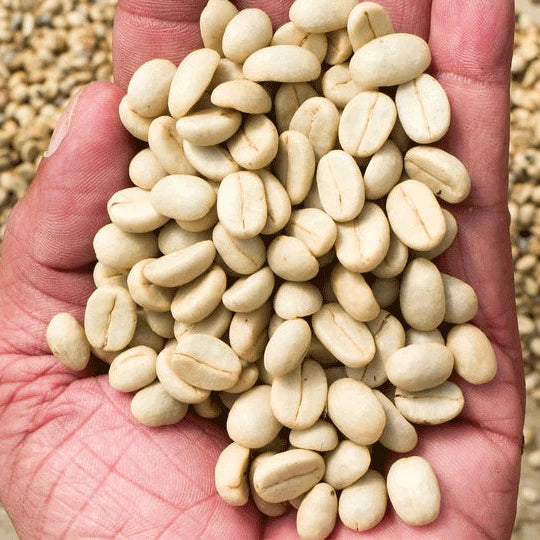 Sample coffee roasting