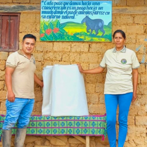 Two people standing next to a large white sheet in front of a brick wall with a poster about elephants.
