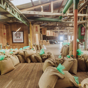 A large warehouse interior filled with stacked burlap sacks, many with bright green plastic bags placed on top. Wooden walls, ceiling beams, and industrial columns are visible, along with a framed sign that reads 'AQUARES'.