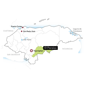 Organic coffee production map