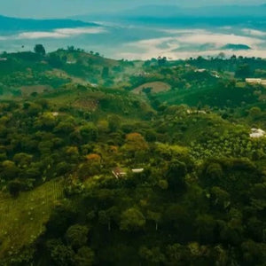 Colombia Coffee